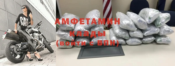 гидра Верея