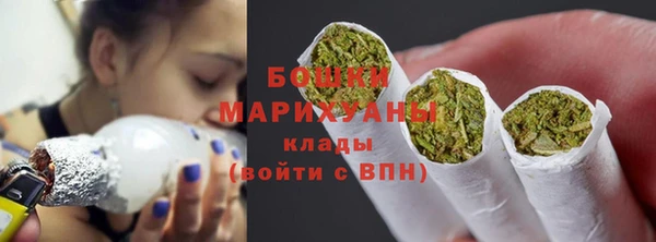 молекула духа Верхний Тагил
