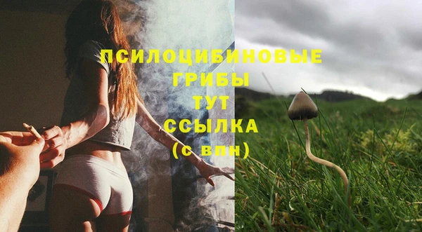 молекула духа Верхний Тагил