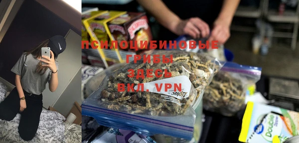 молекула духа Верхний Тагил