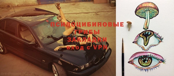 молекула духа Верхний Тагил