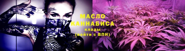 молекула духа Верхний Тагил