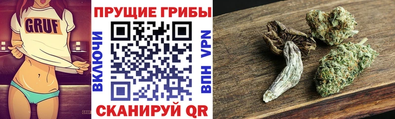 купить наркотик  Ессентукская  omg зеркало  Псилоцибиновые грибы GOLDEN TEACHER 