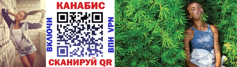 Конопля индика  Ессентукская 